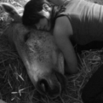 Profile photo of Julia