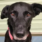 Profile photo of Donna