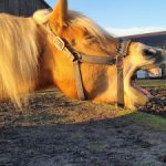 Profile photo of Angela