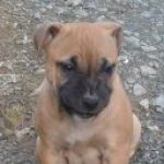 Profile photo of alisha34