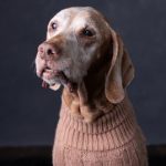 Profile photo of Tina