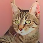 Profile photo of Muriel