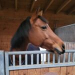 Profile photo of Margaret