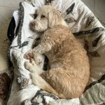 Profile photo of katia-7620