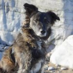 Profile photo of clearlight45