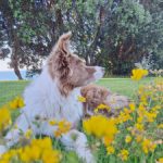 Profile photo of Kali