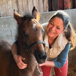 Profile photo of n.schmidt