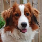 Profile photo of A.