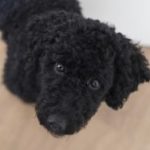 Profile photo of claudia-0380