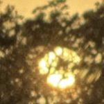 Profile photo of julietattam