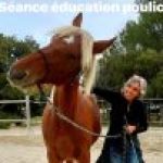 Profile photo of robin_frederique