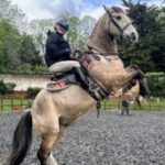 Profile photo of valeverno