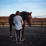 Profile photo of Merida