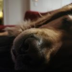 Profile photo of Maria