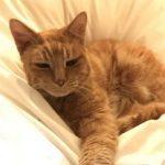 Profile photo of Marianne