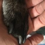 Profile photo of Bea Te