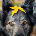 Profile photo of Sherry