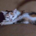 Profile photo of Barbara