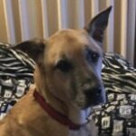 Profile photo of Skye