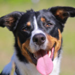 Profile photo of Marie