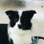 Profile photo of MARIE-PIERRE