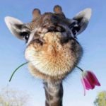 Profile photo of Eva