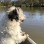 Profile photo of Diane