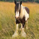 Profile photo of Jill