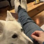Profile photo of Anja