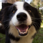 Profile photo of youhoo