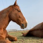 Profile photo of biederbick