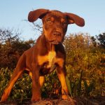 Profile photo of Mylène