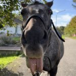 Profile photo of cecile.pradier