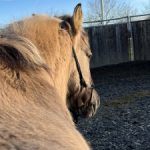 Profile photo of beate.kasparek