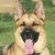 Profile photo of Smoo UK Lancs