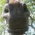 Profile photo of Daniela Practitioner LA