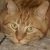 Profile photo of Sabine