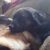 Profile photo of angelasharp385
