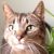 Profile photo of Jeanette