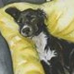 Profile photo of Bob