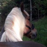 Profile photo of Ute