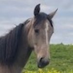 Profile photo of Tamsin