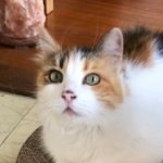Profile photo of Sabine