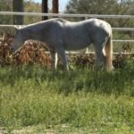 Profile photo of Trudy