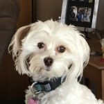 Profile photo of Deanna