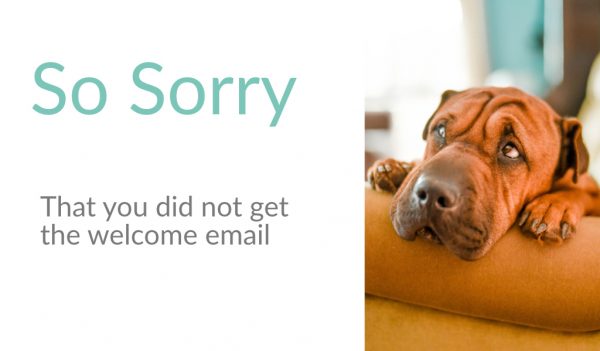 email so sorry email so sorry